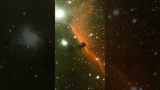 I pointed my telescope at the Horsehead Nebula astrophotography space [upl. by Airrej]