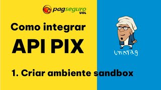 PagSeguro  API Pix  Como usar [upl. by Suez]