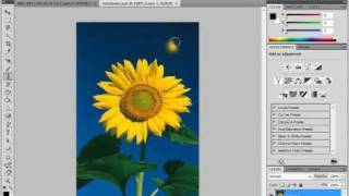 Photoshop Tutorial The Clone Stamp Tool Adobe Training Lesson 1414 [upl. by Kilk340]