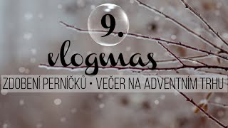 VLOGMAS 9  Tip na zdobení perníčků a večer na adventním trhu 🤍 [upl. by Annaiel]