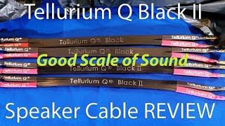 Tellurium Q Black II speakers cable First impressions [upl. by Bartko]