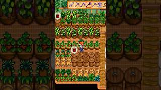 Stardew Valley Shed Idea スターデューバレー 🐇 [upl. by Belayneh]