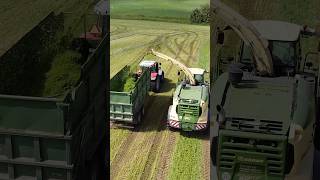 🚜 Krone Combine amp Massey Ferguson Tractor Team Up 🌾 Epic Silage Collection [upl. by Rajiv551]