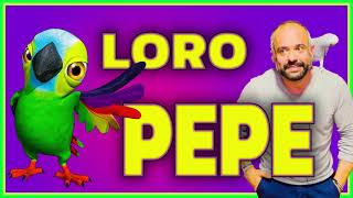 SE ENOJÓ EL LORITO PEPE 🦜 LA GRANJA DE ZENÓN 👨🏻‍🌾 CANCIONES 🎵 PARA NIÑOS [upl. by Ennairak975]