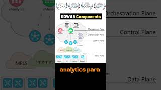 Componentes esenciales de SDWAN y su arquitectura explicada sdwan ccna cisco [upl. by Ydneh]