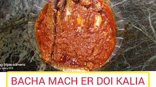 Bacha Fish Kalia Bacha mach er doi kalia Bengali Fish recipes  Traditional bengali recipes [upl. by Dorman]