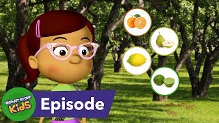 Where Do Fruits and Vegetables Come From S4 E2 [upl. by Adnolohs]