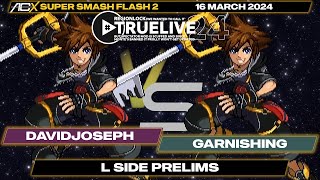 davidjoseph Sora vs Garnishing Captain Falcon Sora  L Side Prelims  REGIONLOCK 2024 [upl. by Mozza2]