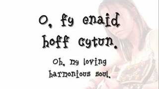 Enaid Hoff Cytun  Meinir Gwilym geiriau  lyrics [upl. by Osner]