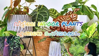 വീട്ടിലെ indoor plants എങ്ങനെ ഭംഗിയാക്കാംindoor plants malayalam home plants kerala [upl. by Quinton818]