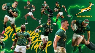 Amabokoboko  Sister Bokkina  Springboks Theme Song🥇🏆 [upl. by Acirdna]