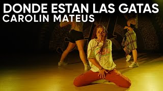 quotDonde Estan las Gatasquot  Open Level Reggaeton  Carolin Mateus [upl. by Ela593]