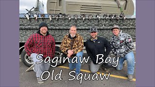 Saginaw Bay Old Squaw [upl. by Nikral]