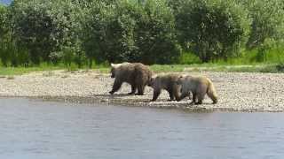 Float Trip Moraine Creek Alaska 2013 [upl. by Plotkin149]