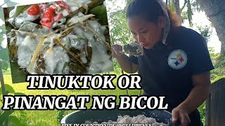 THE BEST BICOL PINANGAT RECIPE  countrysidecooking easyrecipe [upl. by Pacorro]