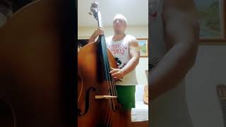 Sean Kingston  Beautiful Girls baixistas baixo music baixobrasil doublesbass [upl. by Akiehs]