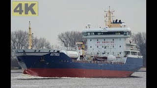 ASTREA  Shipspotting Germany 🇩🇪 IMO 9488839  River Weser near City Brake Unterweser  4K VIDEO [upl. by Latsyrhc841]