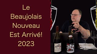 Reviewing  Le Beaujolais Nouveau Est Arrivé 2023  Episode 140 [upl. by Dosh]