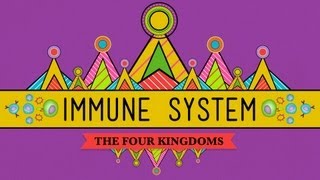 Your Immune System Natural Born Killer  Crash Course Biology 32 [upl. by Aron972]