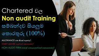 non audit training  Full guide 2024 [upl. by Aiouqes]