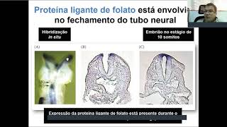 Aula 4 PARTE 3  Revisão de gastrulação neurulação somitogênese e fechamento do embrião [upl. by Anairda362]