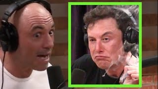 Joe Rogan on the Elon Musk Controversy [upl. by Airyt]