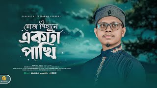 রোজ বিহানে একটা পাখি আল্লাহ আল্লাহ ডাকে  Roj Bihane Ekta Pakhi  Shamim Ahmad  New Song 2024 [upl. by Dnaltroc]