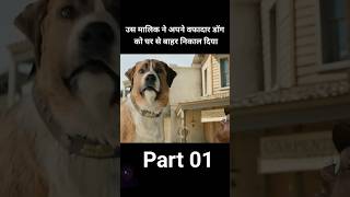 Scarf को किसी ने चोरी कर लिया 😱😢 shortvideos explained newmovie funny horrorstoriesOYEFACTS [upl. by Herculie]