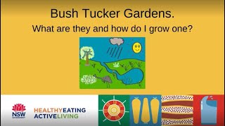 Bush Tucker Gardens What are they and how do I grow one [upl. by Ytrebil]