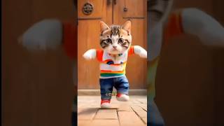 Cute cat funny dance [upl. by Aric]