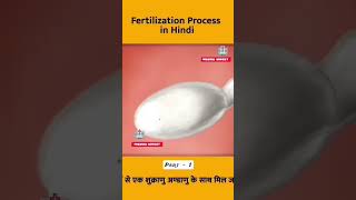 fertilization process in human animation।।3danimation shorts fertilisation [upl. by Iew]