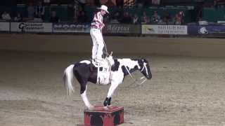 Tommie Turvey – Roman Riding amp Trick Roping  Night of the Horse 2015  Del Mar National Horse Show [upl. by Aynor496]