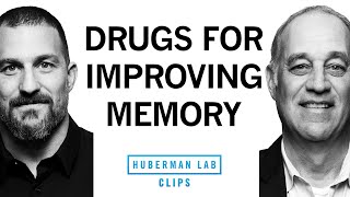 Medications That May Improve Memory amp Brain Function  Dr Mark DEsposito amp Dr Andrew Huberman [upl. by Silverstein]