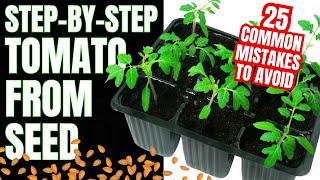 How To Grow Tomatoes From Seed And Avoid 25 Critical Mistakes [upl. by Ydnem]