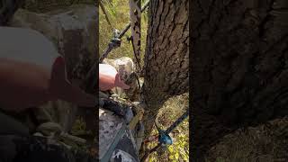 Stick placement hunting deerhunting saddle beaststicks outdoors [upl. by Dahaf288]