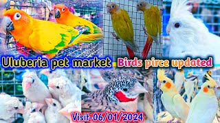 Uluberia pet market  Birds pirce updated 06012024 Uluberia pakhir haat cheapest viral sale [upl. by Sucitivel]