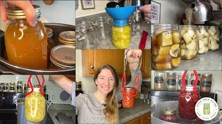 7 Canning Recipes That Save Us the MOST Money [upl. by Nat93]