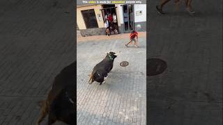 This boy saved everyones life from the bull 😳🐂 bulls games show savelife respect shortsvideo [upl. by Essilrahc]