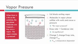 Evaporation Vapor Pressure and Boiling [upl. by Deelaw843]