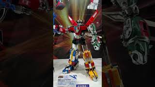 Tamashii Nations Store Tokyo  June2024  tamashiinations Bandai Chogokin DX boybukastoybox [upl. by Darn]