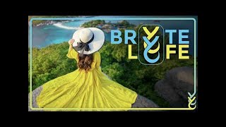 What Is the Bryte Lyfe Opportunity [upl. by Jonie946]