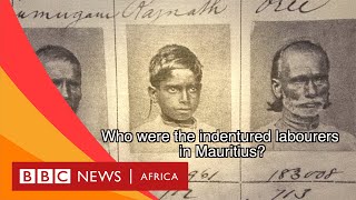 Indentured Labour in Mauritius Explained  BBC Whats New [upl. by Carlita]