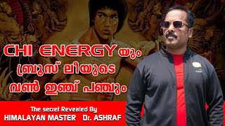 CHI ENERGY യും ബ്രൂസ് ലീയുടെ വൺ ഇഞ്ച് പഞ്ചും  HIMALAYAN MASTER DrASHRAF  Bruce Lee One Inch Punch [upl. by Adnarahs839]