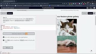 Learn CSS Flexbox by Building a Photo Gallery  Step  12 [upl. by Cacilia335]