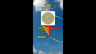 TEST daltonisme  10 étapes test daltonisme testdevue [upl. by Kedezihclem]