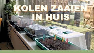 Spits en rode kolen ZAAIEN  Moestuin in een rijtjeshuis [upl. by Melac]