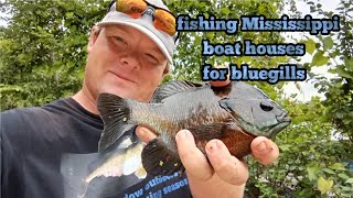 fishing the Mississippi river boat houses for bluegills [upl. by Soilissav]