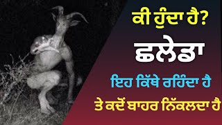 ਛਲੇਡਾ ਕੀ ਹੁੰਦਾ ਹੈ। ਸਲੇਡਾ ਕਿੱਥੇ ਰਹਿੰਦਾ ਹੈ। chhaleda ki hai। chhalawa kya hai। chhalawa saleda [upl. by Eniamahs732]