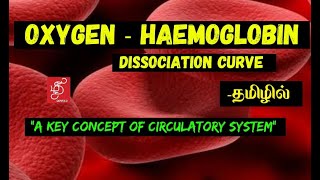 OXYGEN HAEMOGLOBIN DISSOCIATION CURVE  HAEMOGLOBIN SATURATION CURVE  IN TAMIL [upl. by Anilemrac320]