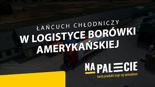 PODCAST Łańcuch chłodniczy w logistyce borówki amerykańskiej [upl. by Aerdnek428]